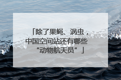 除了果蝇、涡虫，中国空间站还有哪些“动物航天员”