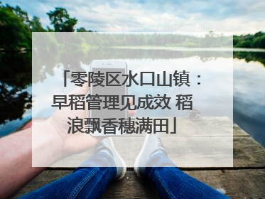 零陵区水口山镇：早稻管理见成效 稻浪飘香穗满田