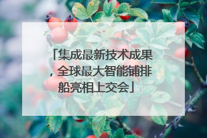 集成最新技术成果，全球最大智能铺排船亮相上交会