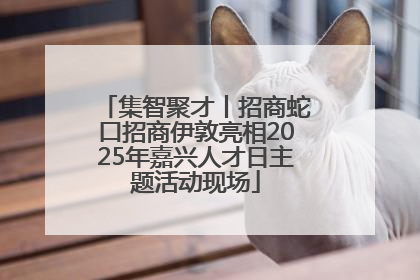 集智聚才丨招商蛇口招商伊敦亮相2025年嘉兴人才日主题活动现场