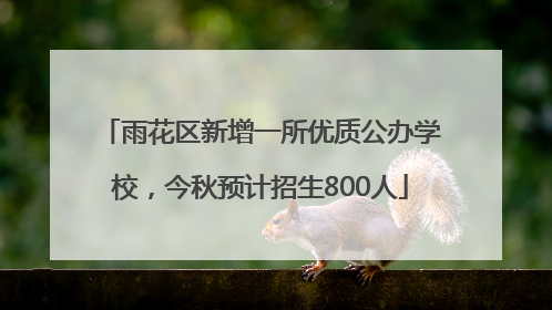 雨花区新增一所优质公办学校，今秋预计招生800人