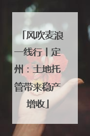 风吹麦浪一线行丨定州：土地托管带来稳产增收