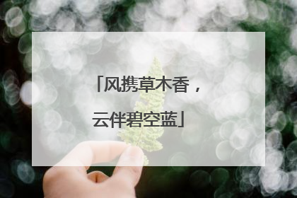 风携草木香，云伴碧空蓝
