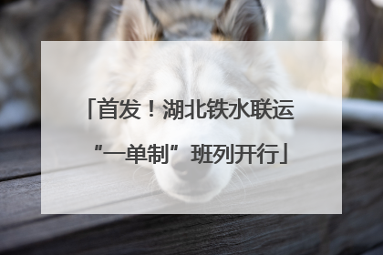 首发！湖北铁水联运“一单制”班列开行