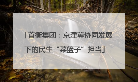 首衡集团：京津冀协同发展下的民生“菜篮子”担当