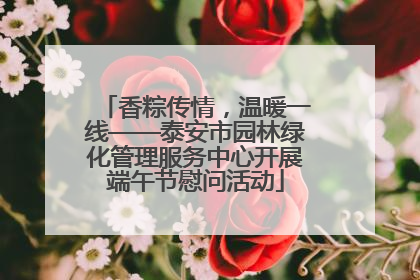 香粽传情，温暖一线——泰安市园林绿化管理服务中心开展端午节慰问活动