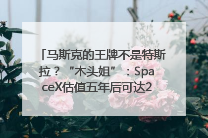 马斯克的王牌不是特斯拉？“木头姐”：SpaceX估值五年后可达2.5万亿美元！