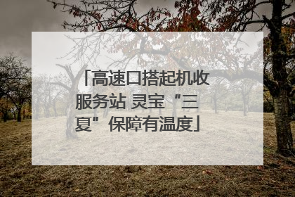 高速口搭起机收服务站 灵宝“三夏”保障有温度