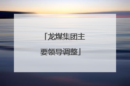龙煤集团主要领导调整