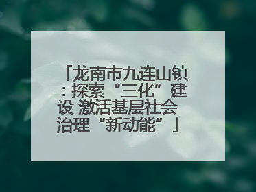 龙南市九连山镇：探索“三化”建设 激活基层社会治理“新动能”