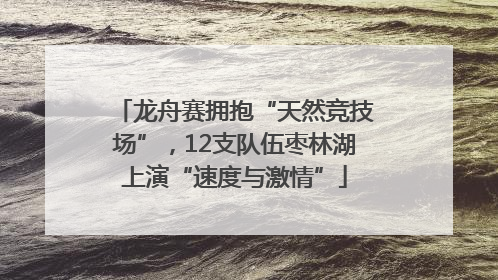 龙舟赛拥抱“天然竞技场”，12支队伍枣林湖上演“速度与激情”