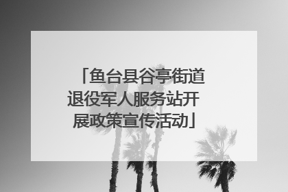 鱼台县谷亭街道退役军人服务站开展政策宣传活动