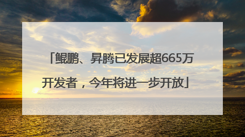 鲲鹏、昇腾已发展超665万开发者，今年将进一步开放
