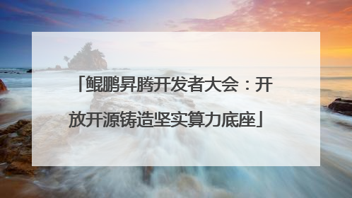 鲲鹏昇腾开发者大会：开放开源铸造坚实算力底座