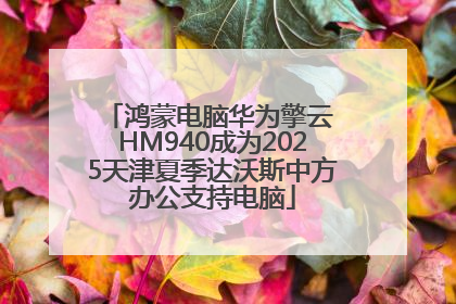 鸿蒙电脑华为擎云 HM940成为2025天津夏季达沃斯中方办公支持电脑
