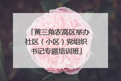 黄三角农高区举办社区（小区）党组织书记专题培训班