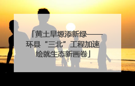 黄土旱塬添新绿——环县“三北”工程加速绘就生态新画卷