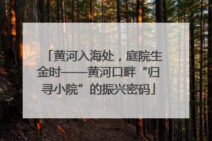 黄河入海处，庭院生金时——黄河口畔“归寻小院”的振兴密码
