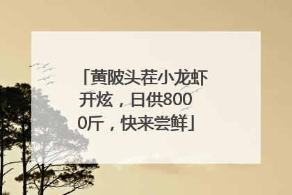 黄陂头茬小龙虾开炫，日供8000斤，快来尝鲜