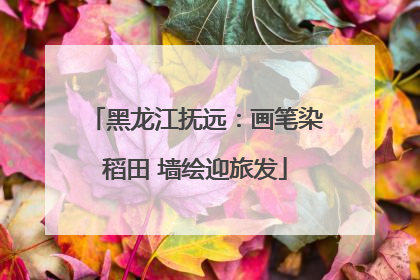黑龙江抚远：画笔染稻田 墙绘迎旅发