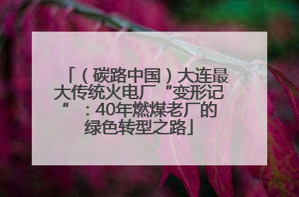 （碳路中国）大连最大传统火电厂“变形记”：40年燃煤老厂的绿色转型之路
