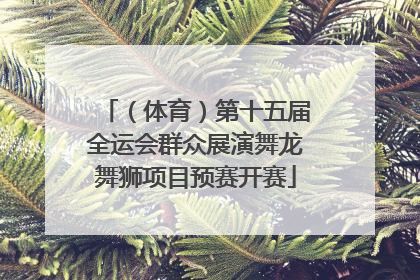 （体育）第十五届全运会群众展演舞龙舞狮项目预赛开赛
