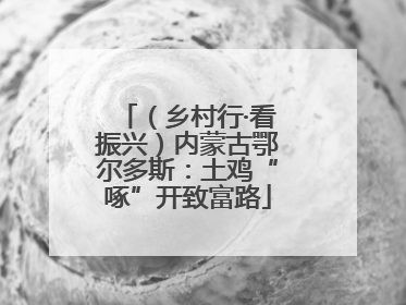 （乡村行·看振兴）内蒙古鄂尔多斯：土鸡“啄”开致富路