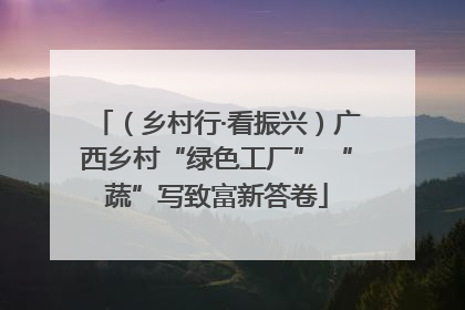 （乡村行·看振兴）广西乡村“绿色工厂” “蔬”写致富新答卷