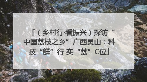 （乡村行·看振兴）探访“中国荔枝之乡”广西灵山：科技“鲜”行 实“荔”C位