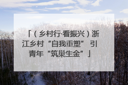 （乡村行·看振兴）浙江乡村“自我重塑” 引青年“筑巢生金”