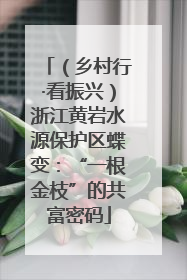 （乡村行·看振兴）浙江黄岩水源保护区蝶变：“一根金枝”的共富密码