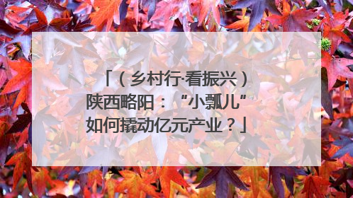 （乡村行·看振兴）陕西略阳：“小瓢儿”如何撬动亿元产业？