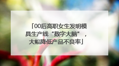 00后高职女生发明模具生产线“数字大脑”，大幅降低产品不良率
