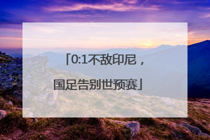 0:1不敌印尼，国足告别世预赛
