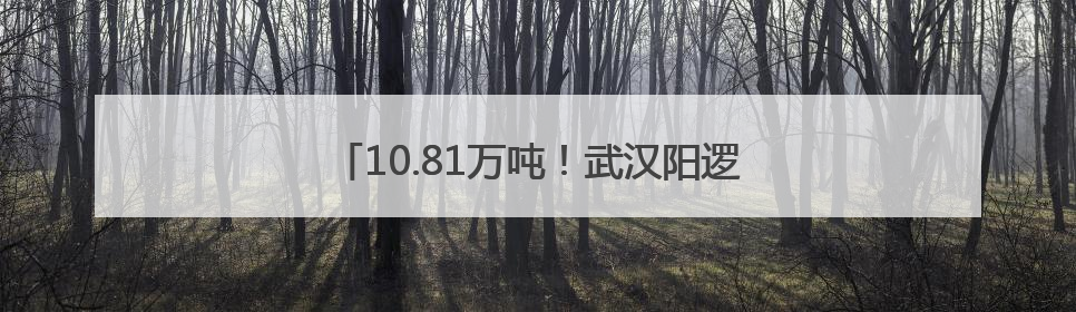 10.81万吨！武汉阳逻港直航货运量创十年新高