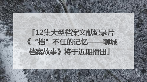 12集大型档案文献纪录片《“档”不住的记忆——聊城档案故事》将于近期播出