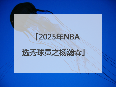 2025年NBA选秀球员之杨瀚森