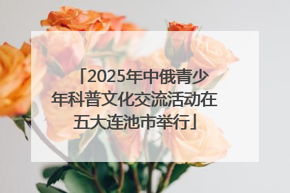 2025年中俄青少年科普文化交流活动在五大连池市举行