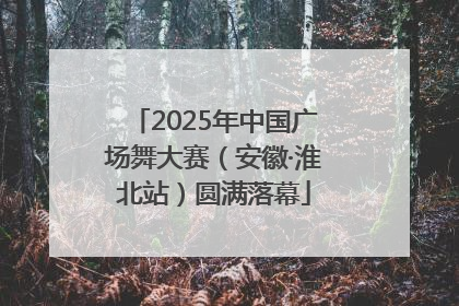 2025年中国广场舞大赛（安徽·淮北站）圆满落幕