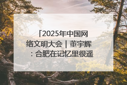 2025年中国网络文明大会｜董宇辉：合肥在记忆里很遥远也很亲切