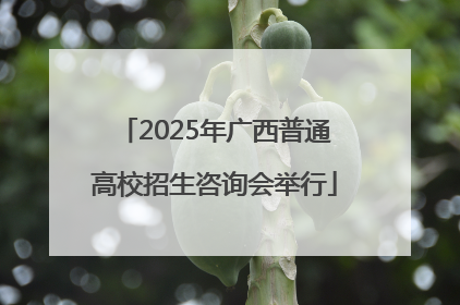 2025年广西普通高校招生咨询会举行