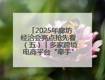 2025年廊坊经洽会亮点抢先看（五）丨多家跨境电商平台“牵手”107个特色产业集群