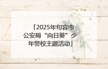 2025年句容市公安局“向日葵”少年警校主题活动