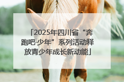 2025年四川省“奔跑吧·少年”系列活动释放青少年成长新动能
