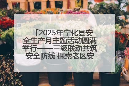 2025年宁化县安全生产月主题活动圆满举行——三级联动共筑安全防线 探索老区安全发展新路径