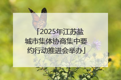 2025年江苏盐城市集体协商集中要约行动推进会举办