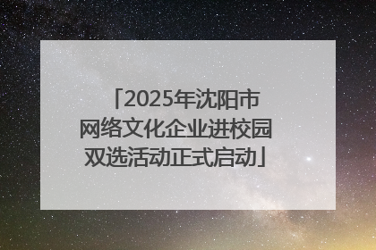2025年沈阳市网络文化企业进校园双选活动正式启动