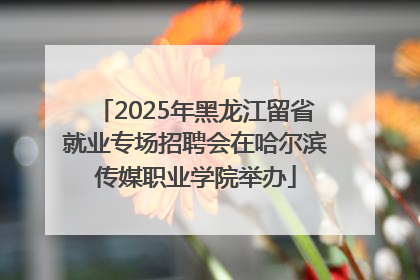 2025年黑龙江留省就业专场招聘会在哈尔滨传媒职业学院举办