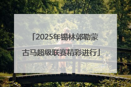 2025年锡林郭勒蒙古马超级联赛精彩进行