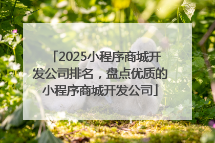 2025小程序商城开发公司排名，盘点优质的小程序商城开发公司